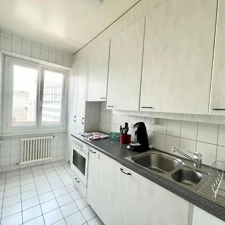 Beau Studio Proche Du Jet D'eau Et De Apartment